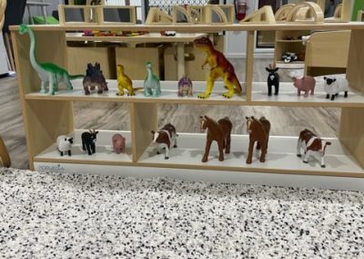 Animal Toys Play in Idalia Centre